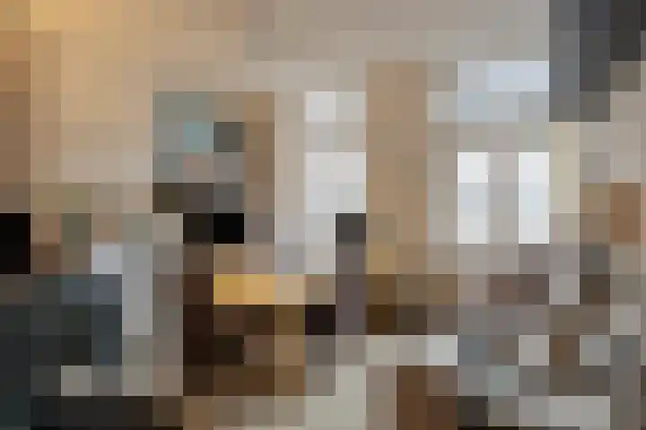 Lage Barakken 23 B Maastricht thumbnail 21