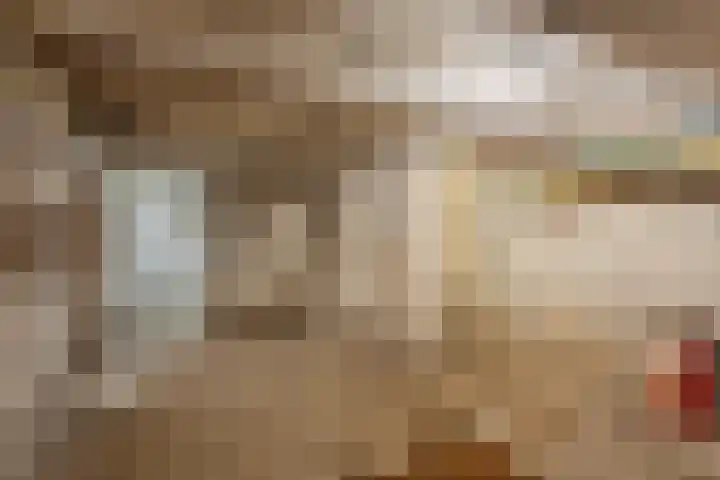 Lage Barakken 23 B Maastricht thumbnail 34
