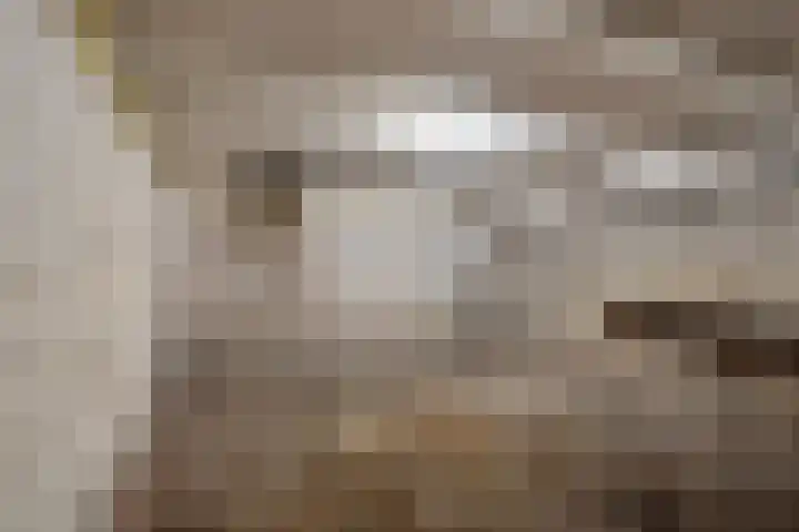 Lage Barakken 23 B Maastricht thumbnail 35