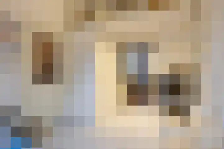 Lage Barakken 23 B Maastricht thumbnail 8