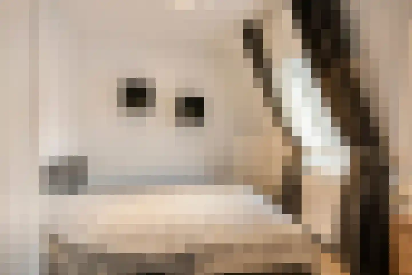 Lage Barakken 69 C Maastricht thumbnail 5