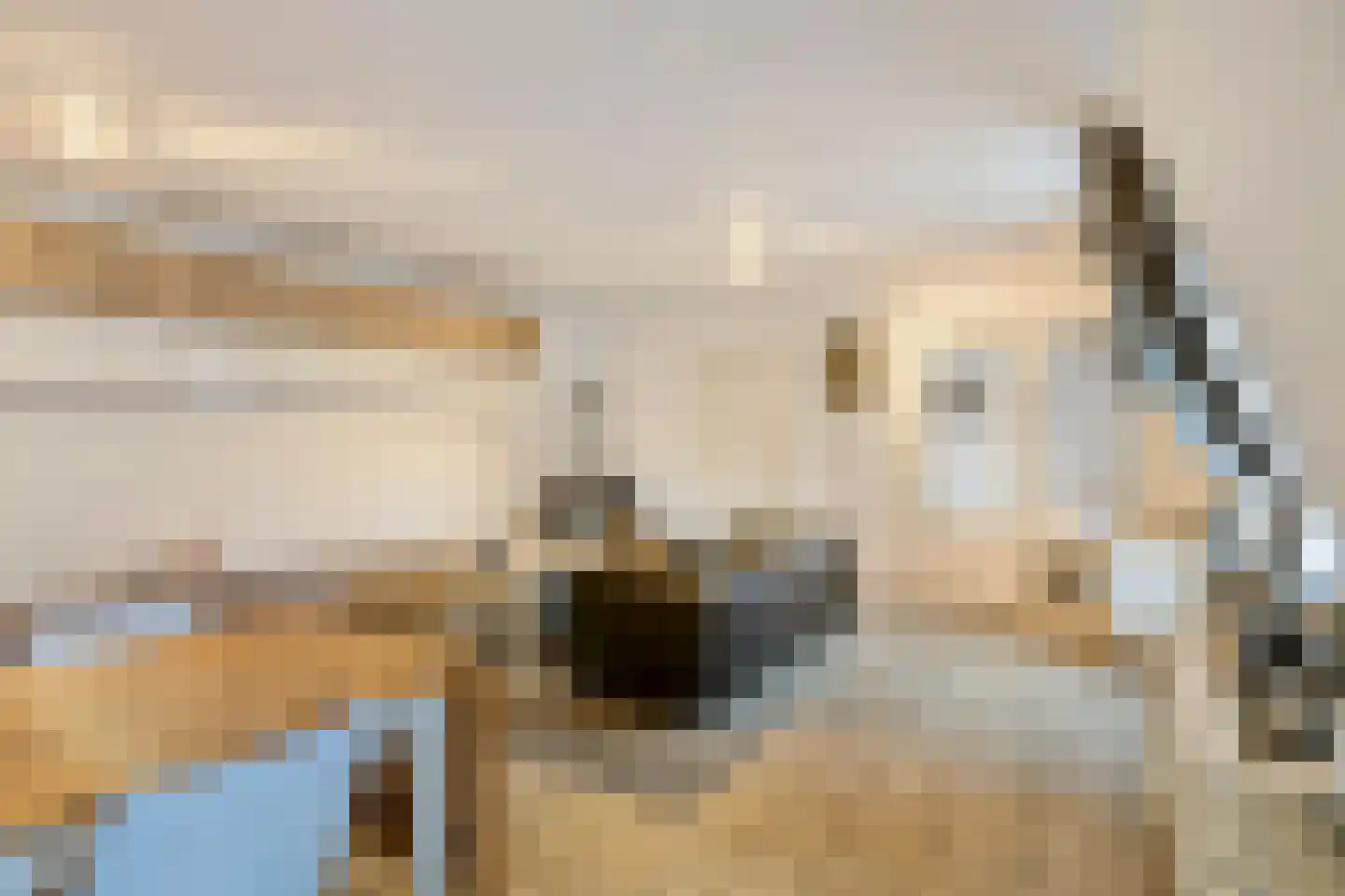 Lage Barakken 69 C Maastricht thumbnail 7