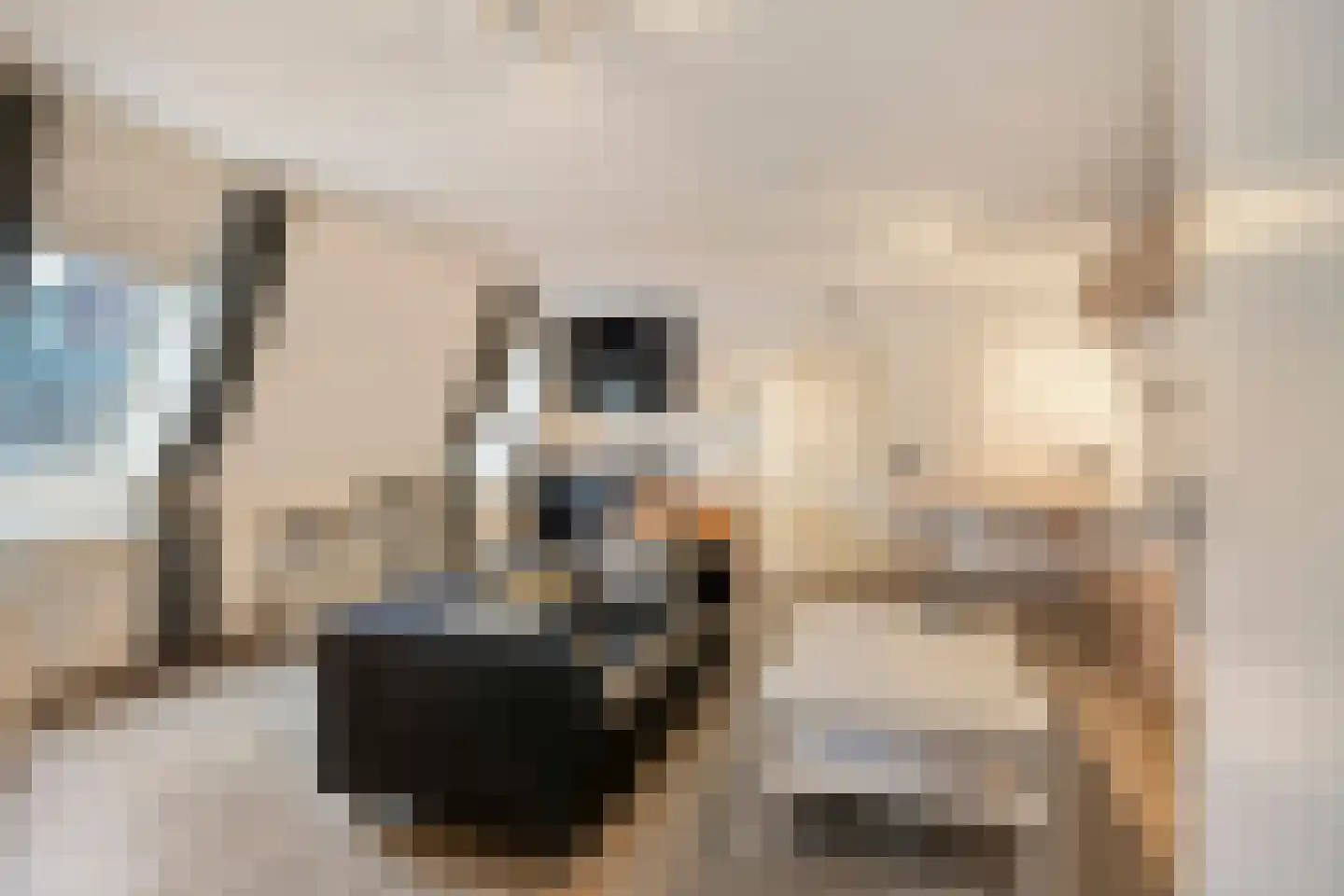 Lage Barakken 69 C Maastricht thumbnail 8