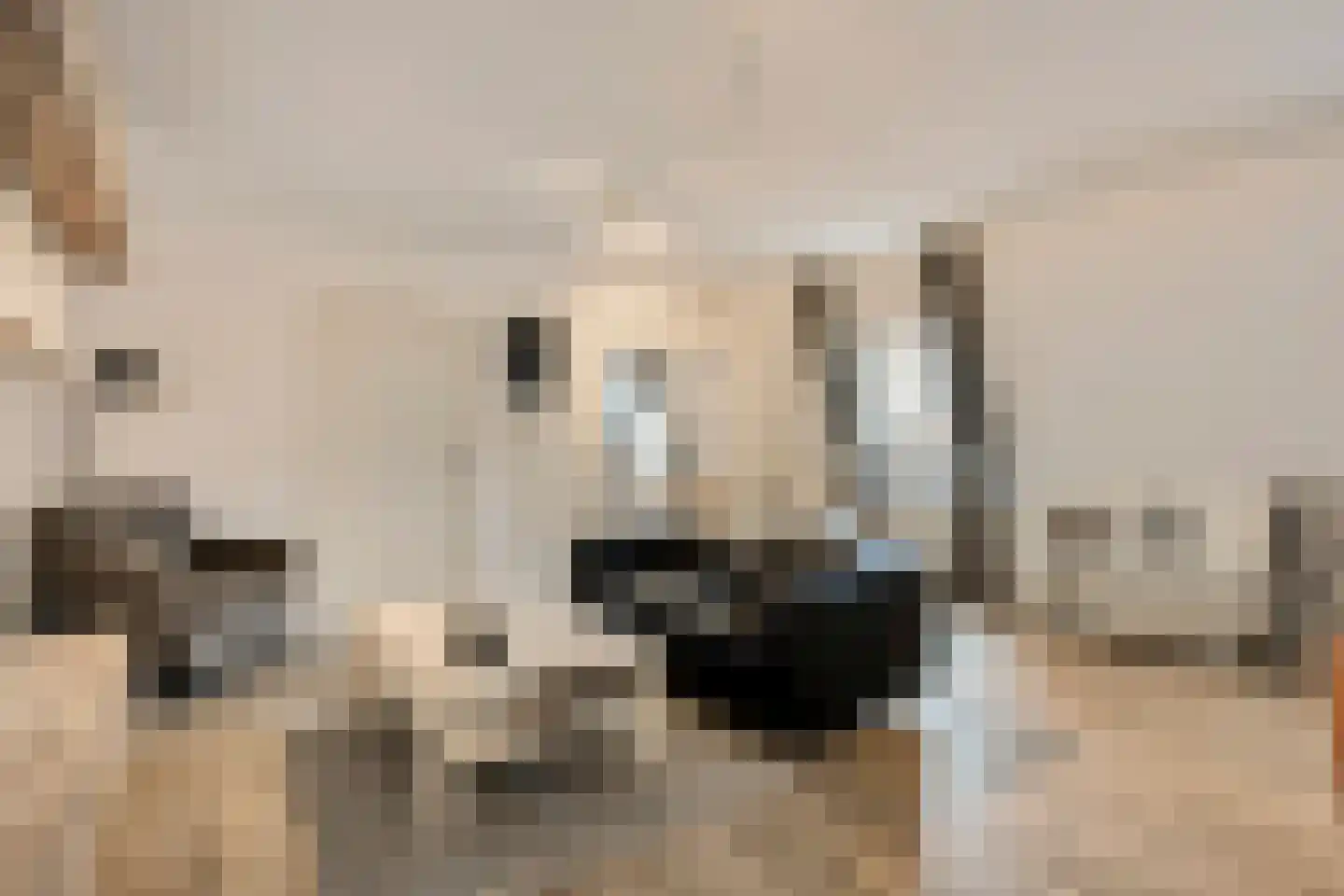 Lage Barakken 69 C Maastricht thumbnail 9