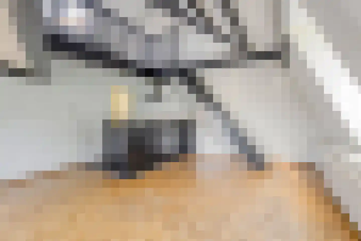 Lage Barakken 71 D Maastricht thumbnail 6
