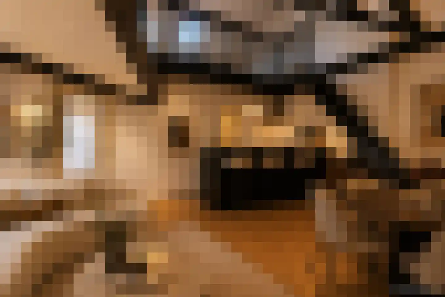 Lage Barakken 71 D Maastricht thumbnail 7