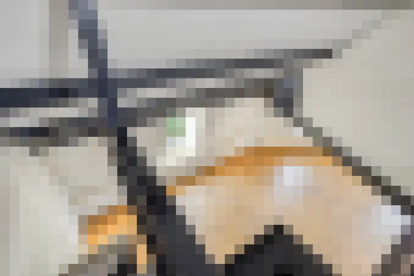 Lage Barakken 71 D Maastricht thumbnail 9