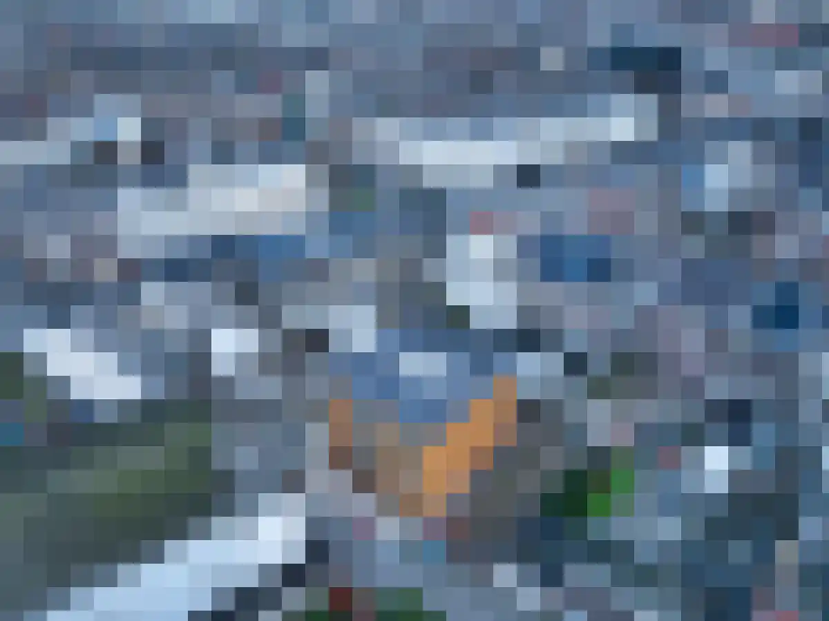 Lage Barakken Maastricht thumbnail 5