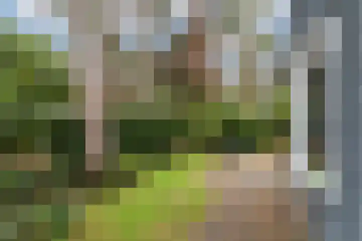 Lage Bergweg 31 B9 Beekbergen thumbnail 25