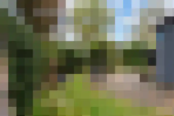 Lage Bergweg 31 B9 Beekbergen thumbnail 26