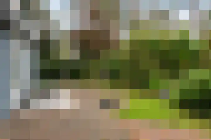 Lage Bergweg 31 B9 Beekbergen thumbnail 27