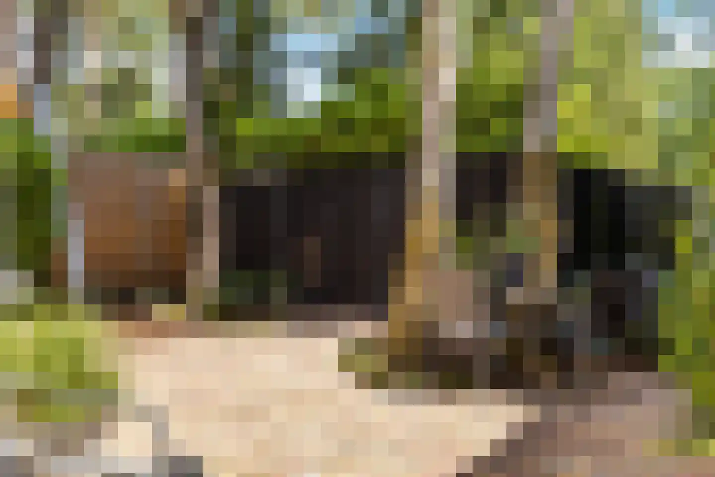 Lage Bergweg 31 C16 Beekbergen thumbnail 20