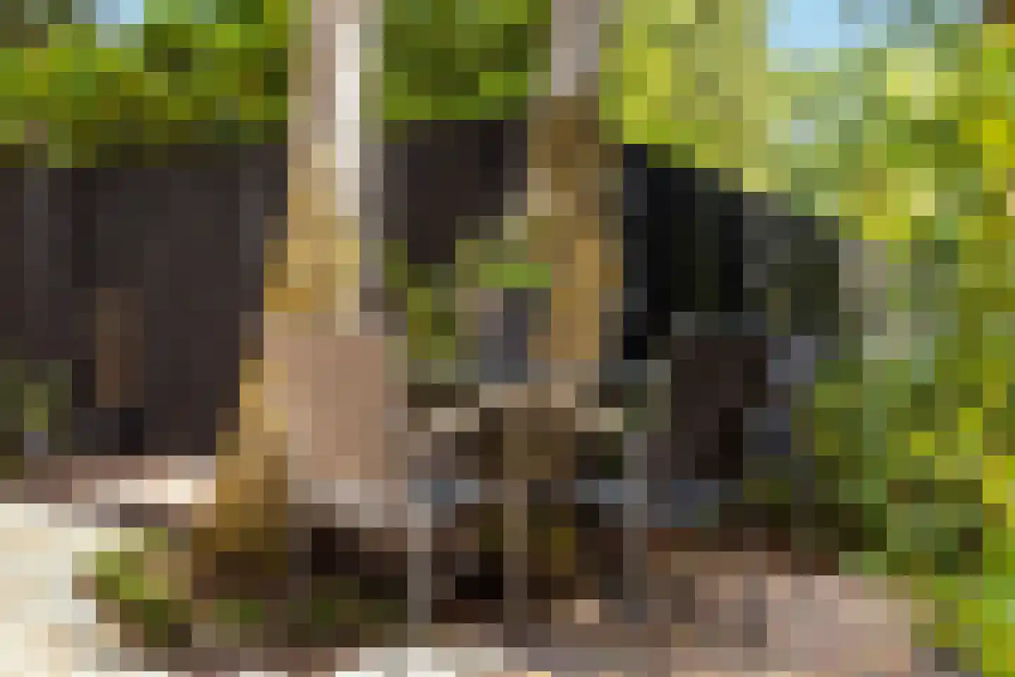 Lage Bergweg 31 C16 Beekbergen thumbnail 21