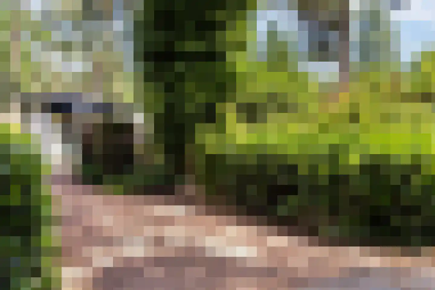 Lage Bergweg 31 C16 Beekbergen thumbnail 24