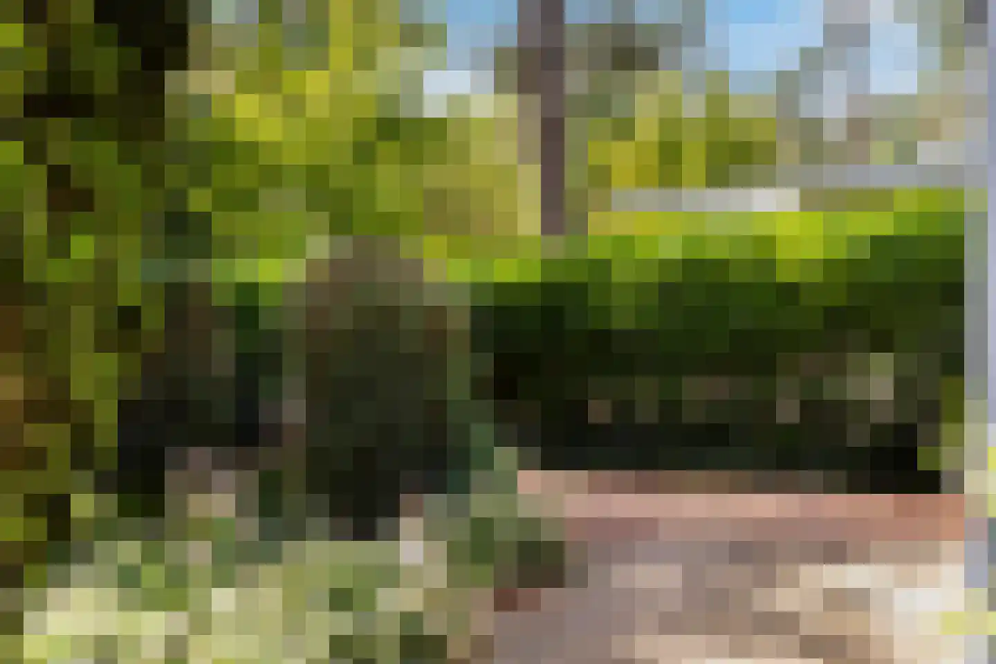 Lage Bergweg 31 C16 Beekbergen thumbnail 25