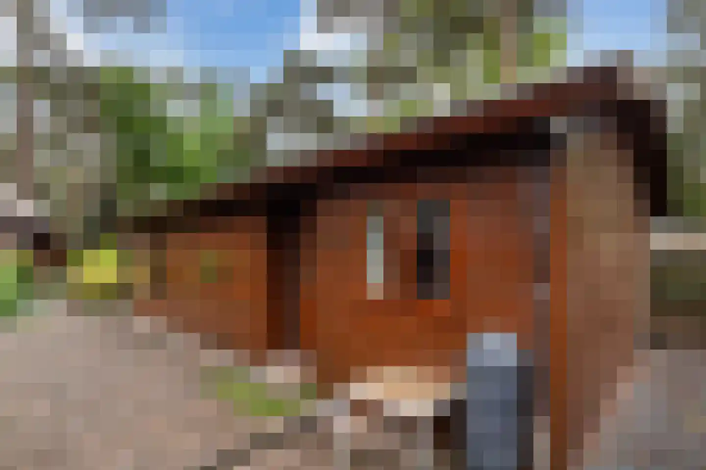 Lage Bergweg 31 C2 Beekbergen thumbnail 23