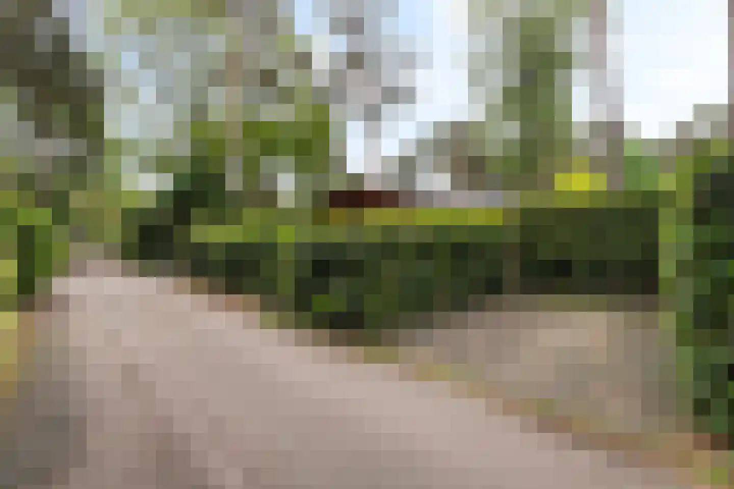 Lage Bergweg 31 C2 Beekbergen thumbnail 26