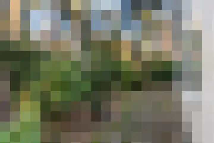 Lage Bergweg 31 C22 Beekbergen thumbnail 23