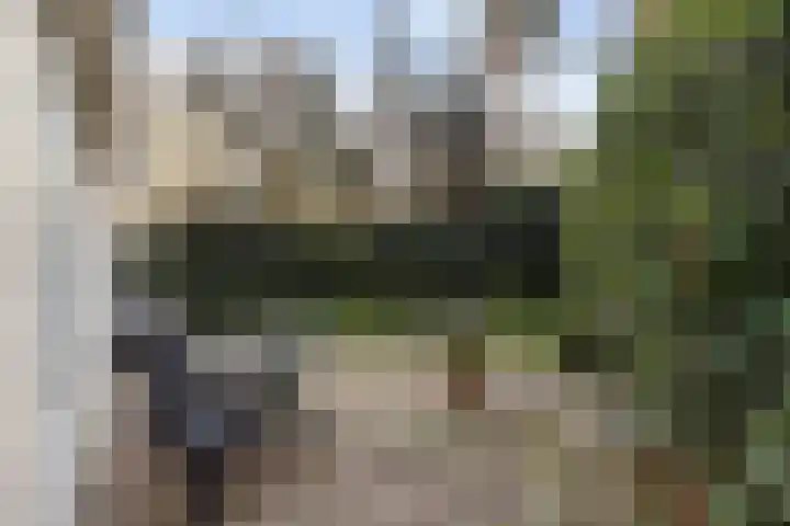 Lage Bergweg 31 C22 Beekbergen thumbnail 26