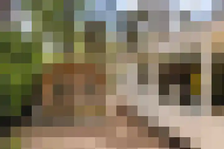 Lage Bergweg 31 C4 Beekbergen thumbnail 23