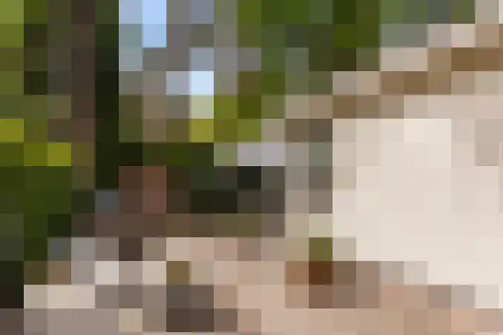Lage Bergweg 31 C4 Beekbergen thumbnail 24