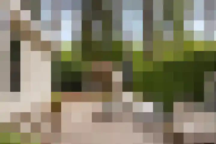 Lage Bergweg 31 C4 Beekbergen thumbnail 25