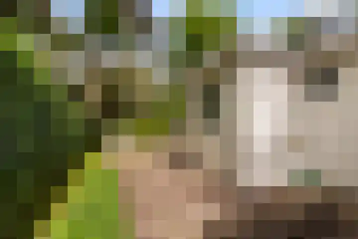 Lage Bergweg 31 C4 Beekbergen thumbnail 4