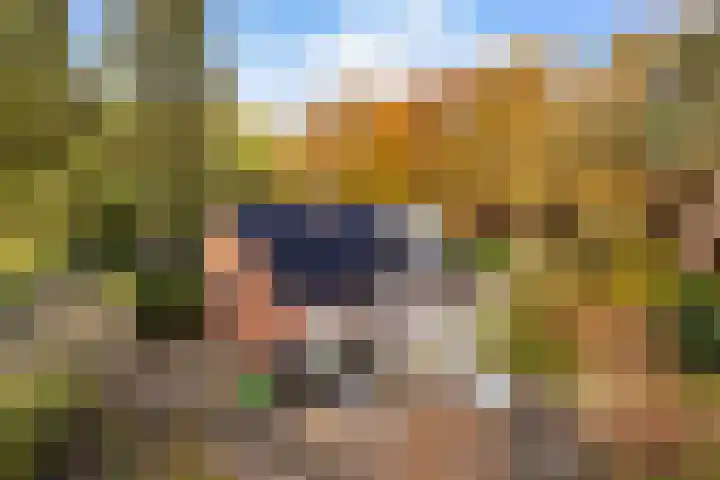 Lage Bergweg 31 C6 Beekbergen thumbnail 30
