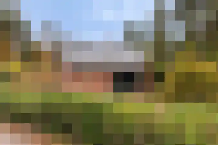 Lage Bergweg 31 C6 Beekbergen thumbnail 32
