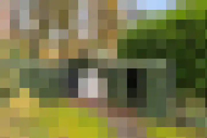 Lage Bergweg 31 C6 Beekbergen thumbnail 37