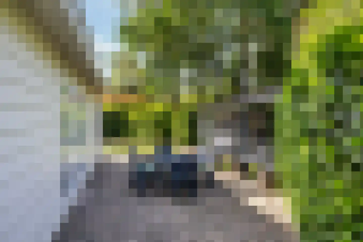 Lage Bergweg 31 E13 Beekbergen thumbnail 19