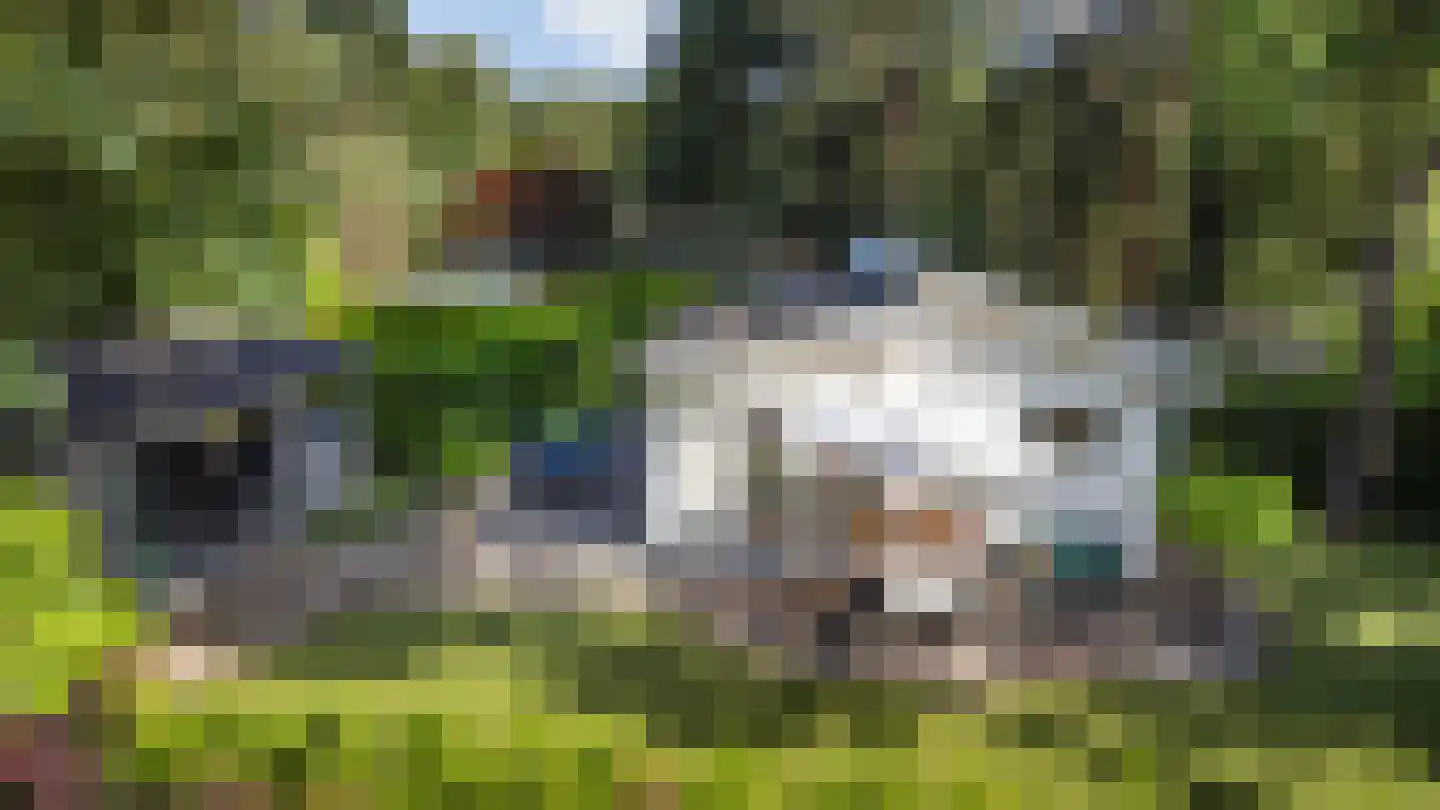Lage Bergweg 31 E13 Beekbergen thumbnail 23