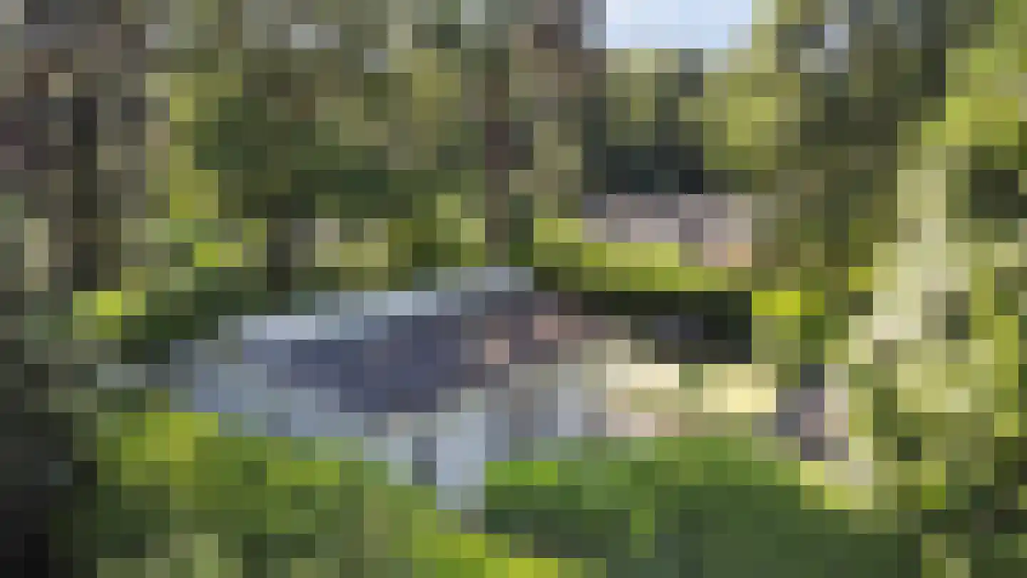 Lage Bergweg 31 E13 Beekbergen thumbnail 27