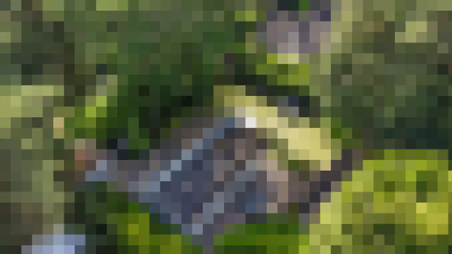 Lage Bergweg 31 E13 Beekbergen thumbnail 28