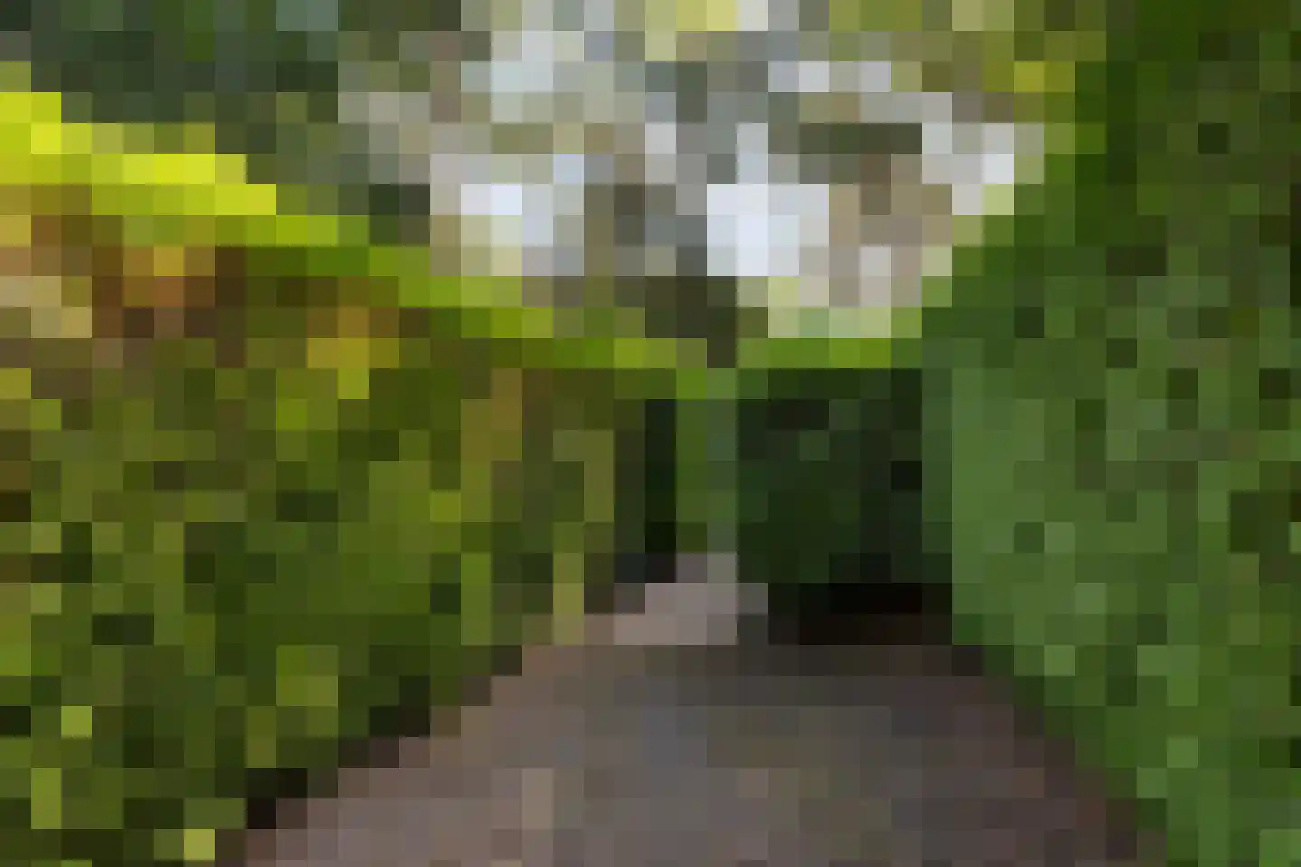 Lage Bergweg 31 E13 Beekbergen thumbnail 31