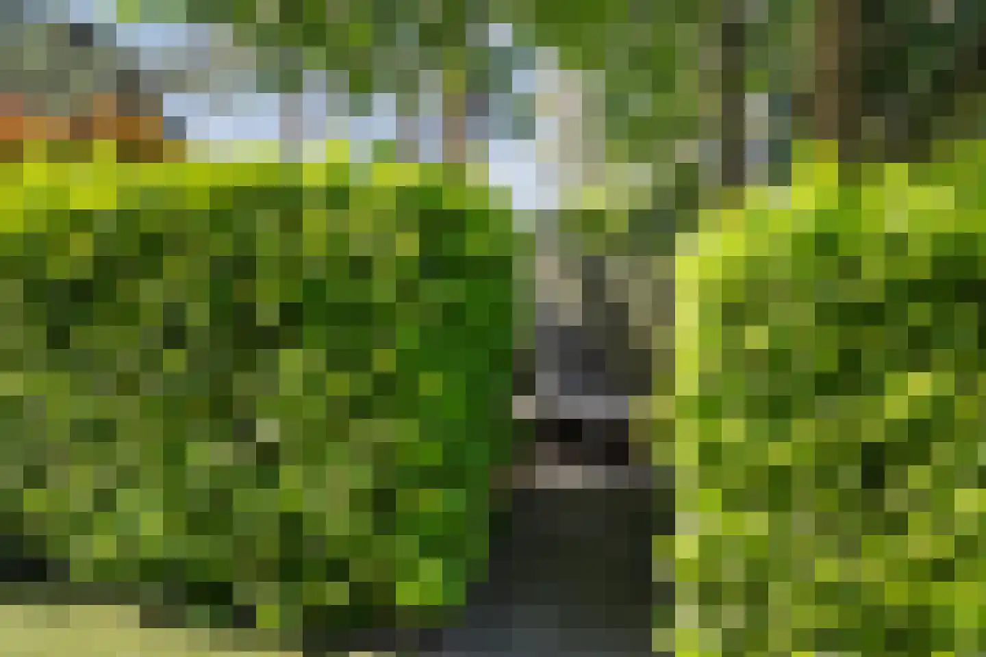Lage Bergweg 31 E13 Beekbergen thumbnail 32