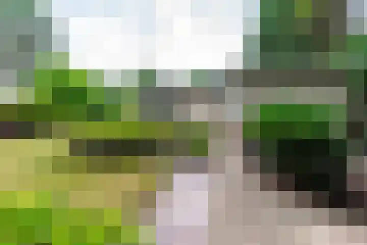 Lage Bergweg 31 E3 Beekbergen thumbnail 26