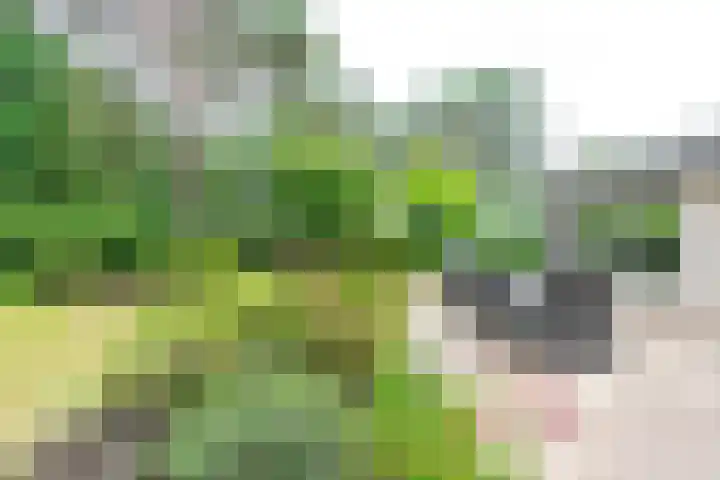 Lage Bergweg 31 E3 Beekbergen thumbnail 27
