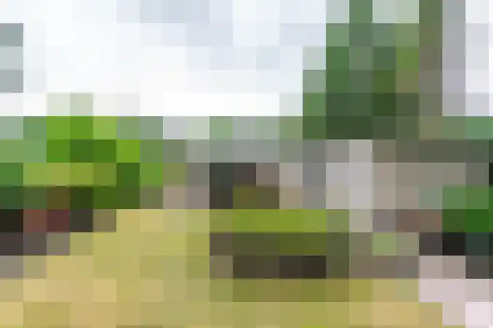 Lage Bergweg 31 E3 Beekbergen thumbnail 30