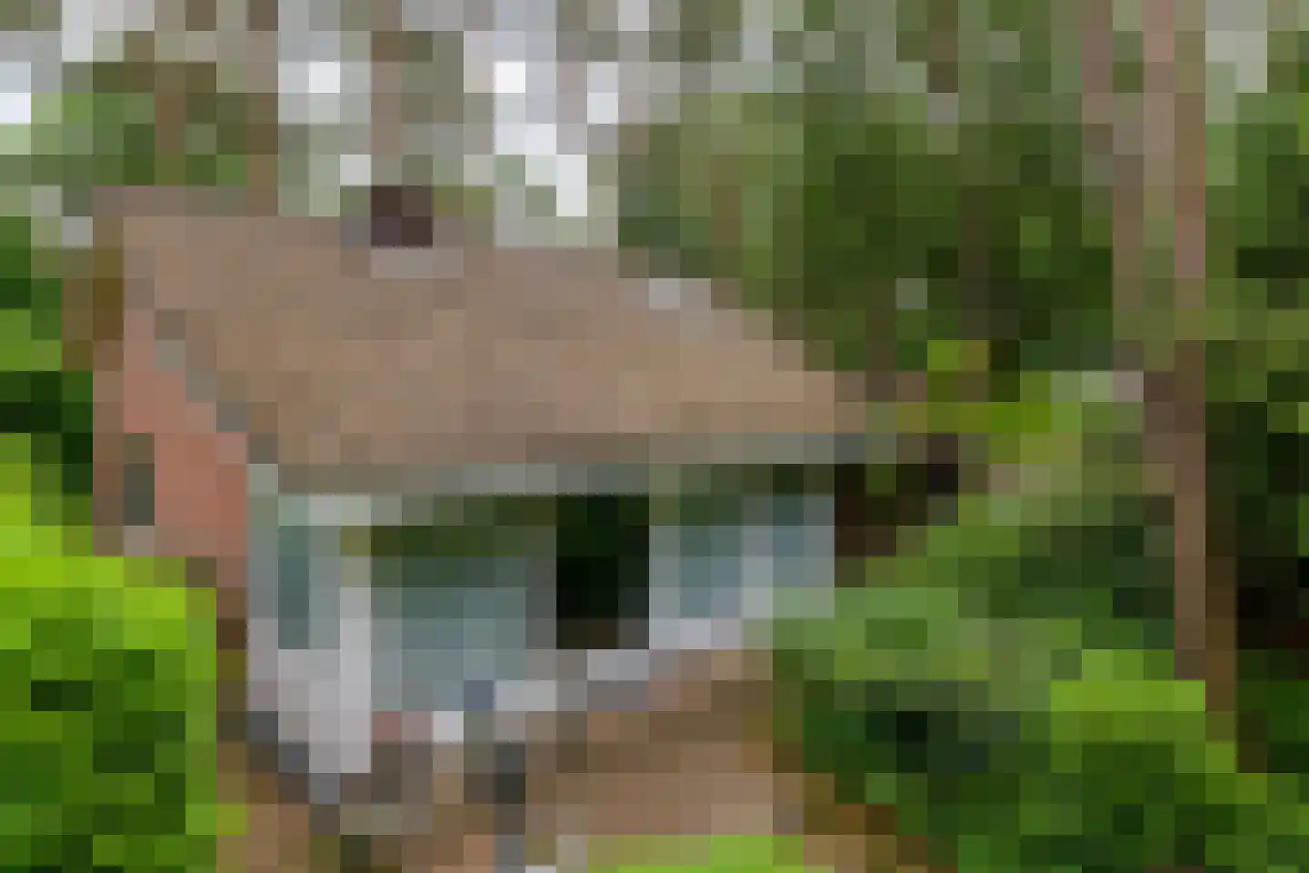 Lage Bergweg 31 H4 Beekbergen thumbnail 17