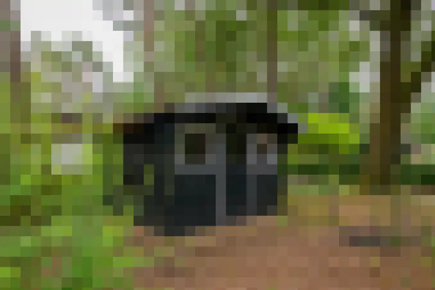 Lage Bergweg 31 H4 Beekbergen thumbnail 20