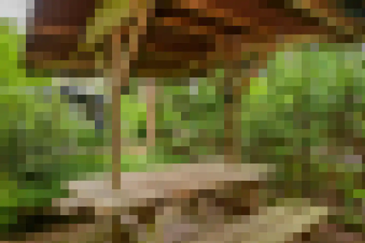 Lage Bergweg 31 H4 Beekbergen thumbnail 21