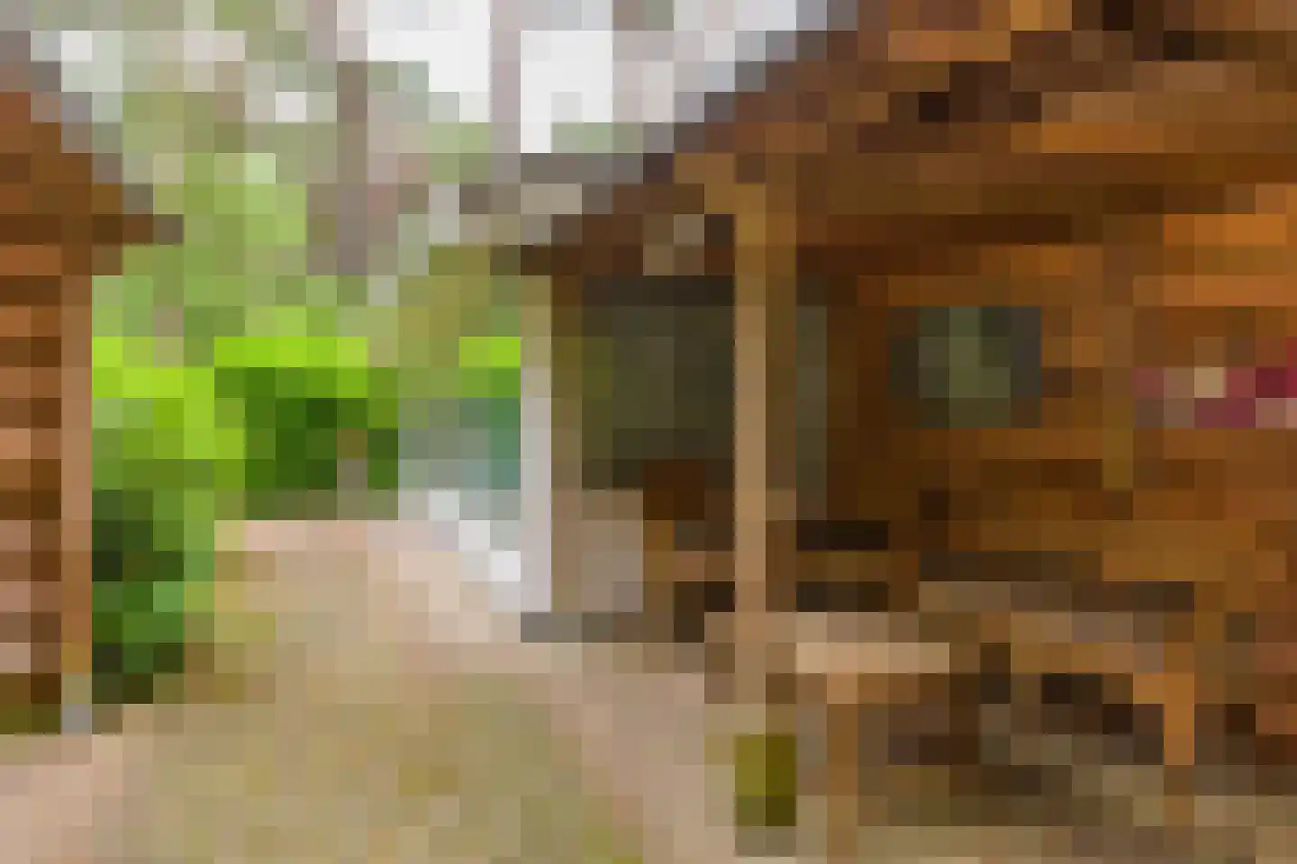 Lage Bergweg 31 H4 Beekbergen thumbnail 22