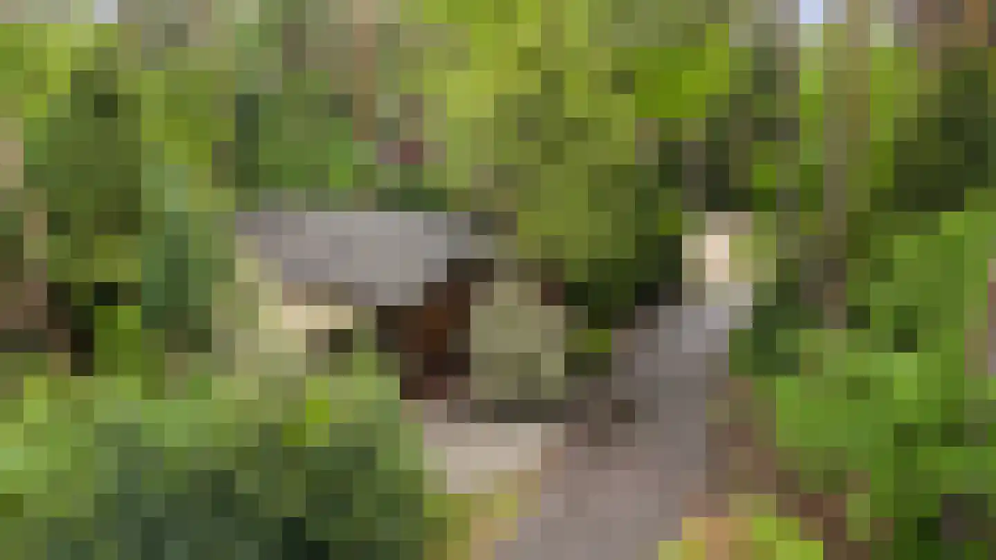 Lage Bergweg 31 H5 Beekbergen thumbnail 15