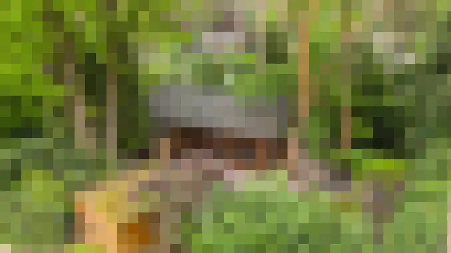 Lage Bergweg 31 H5 Beekbergen thumbnail 16