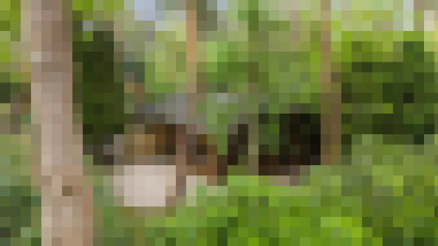 Lage Bergweg 31 H5 Beekbergen thumbnail 18