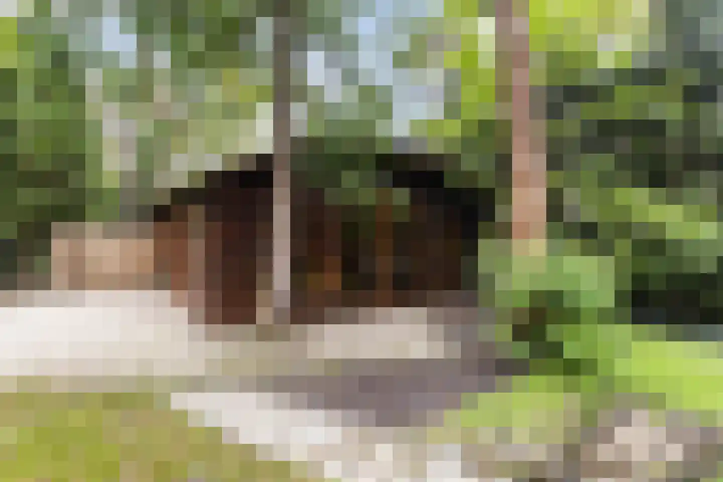 Lage Bergweg 31 H5 Beekbergen thumbnail 20