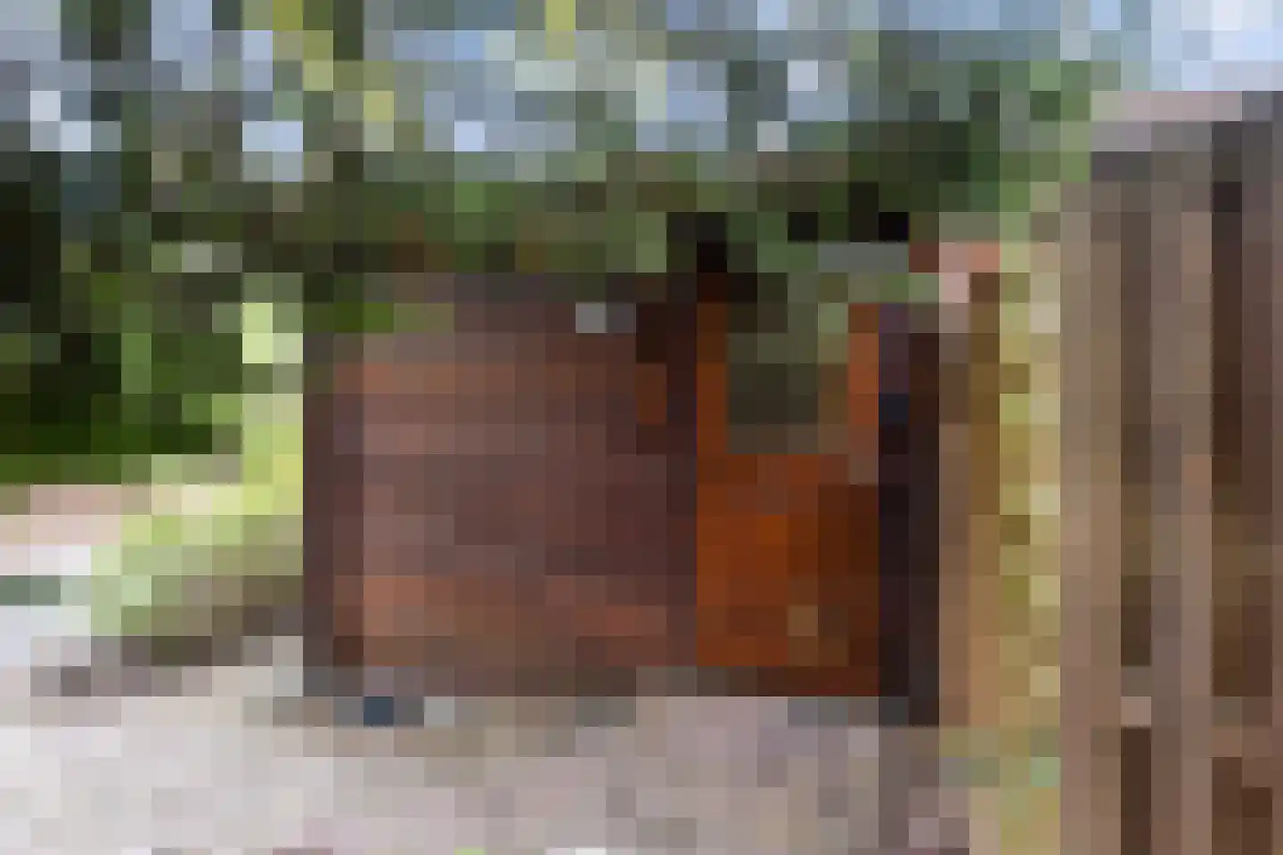 Lage Bergweg 31 H5 Beekbergen thumbnail 22