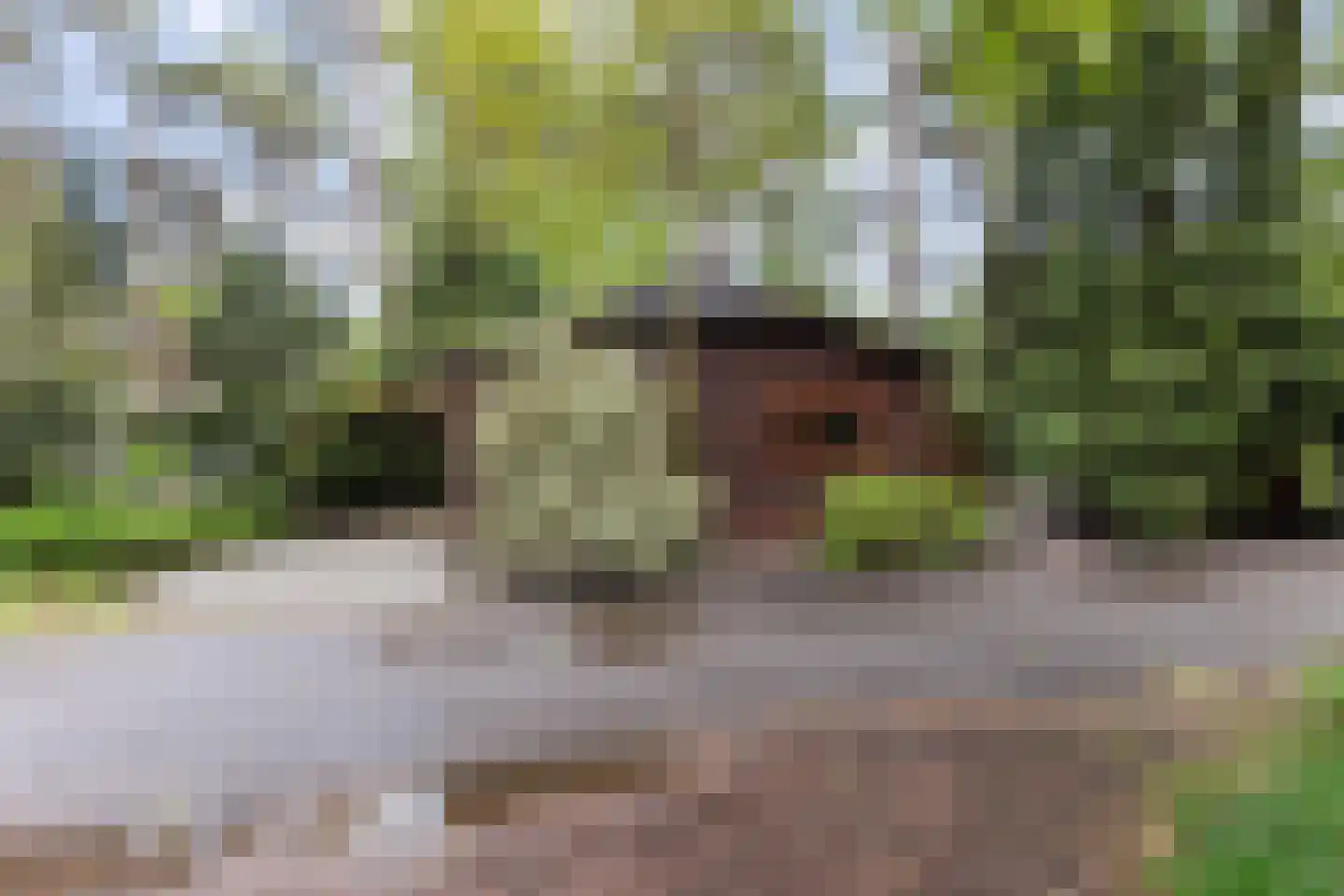 Lage Bergweg 31 H5 Beekbergen thumbnail 24