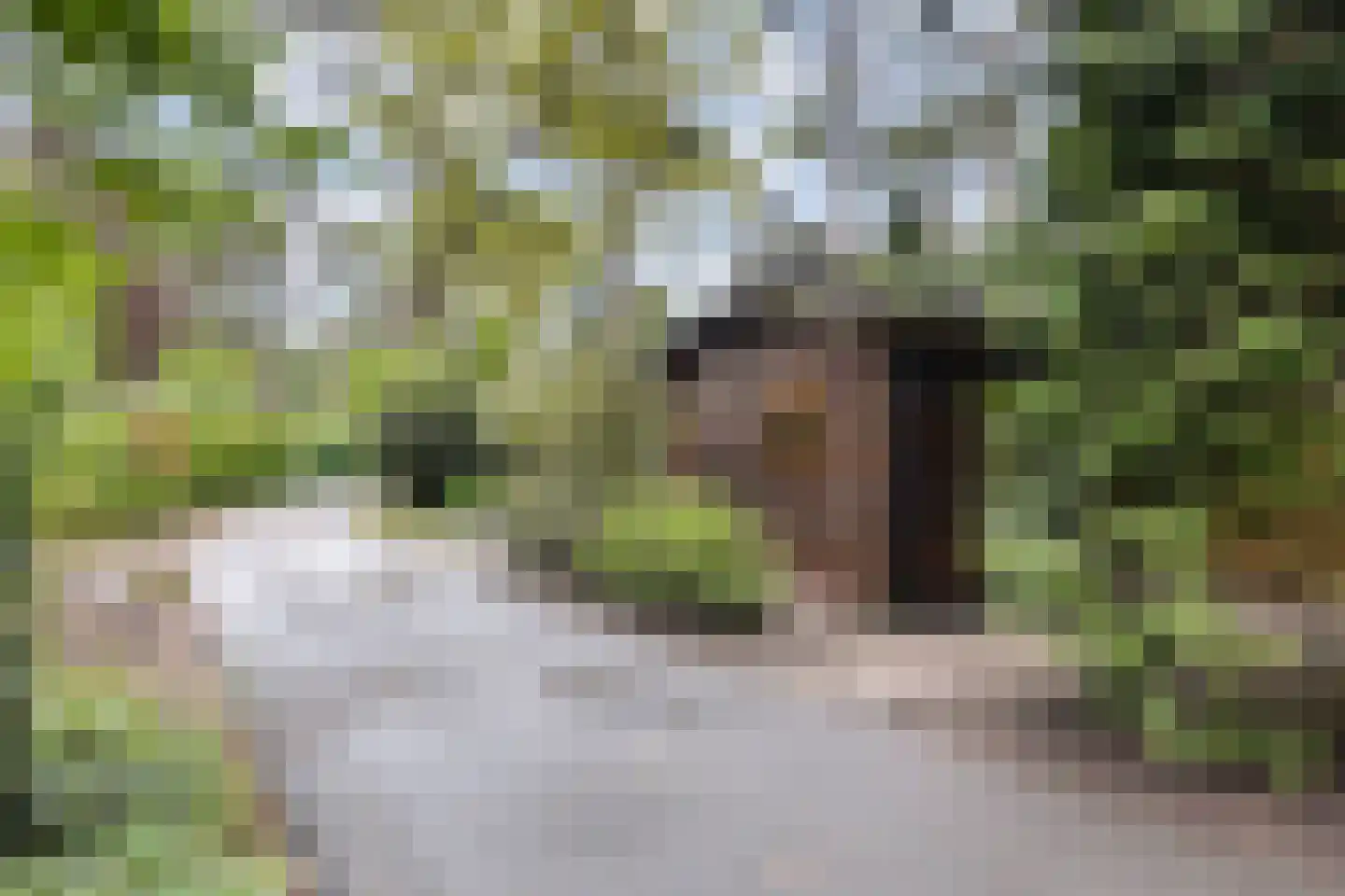 Lage Bergweg 31 H5 Beekbergen thumbnail 25